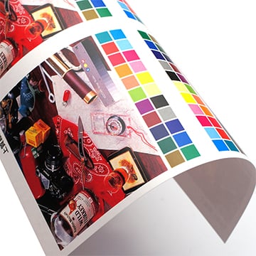 二つ折りパンフレット / A4サイズ仕上げ / 上質紙厚口(180kg) / 両面カラー印刷