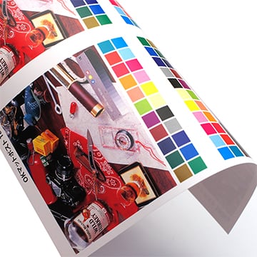 二つ折りパンフレット / A4サイズ仕上げ / マットポスト紙厚口(180kg) / 両面カラー印刷